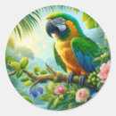 Search for green parrot stickers Nature