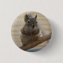 Search for cute squirrel buttons Nature