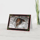 Search for black cat christmas cards Kitten