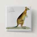 Recherche de kangourou badges Marsupial