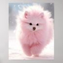 Search for pomeranian posters Puppies