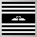 Search for black swan posters Black and white