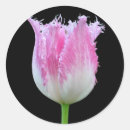 Recherche de frangé Fleurs