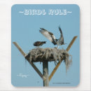 Recherche de oiseaux proie tapis souris Faucon