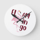 Search for flamingo clocks Exotic