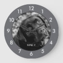 Recherche de chien labrador horloges Labo