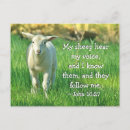 Search for a 10 postcards Bible verse