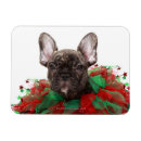 Search for french bulldog christmas cards Animal