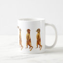Recherche de merkats tasses Animaux