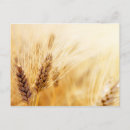 Recherche de orge posters Automne