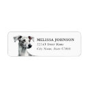 Search for greyhounds return address labels Cute