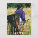 Search for work vertical postcards Woman