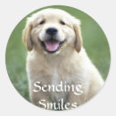 Search for golden smile stickers Puppy