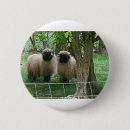 Recherche de moutons mignons badges Animal