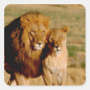 Search for lioness stickers Couple