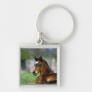 Search for lying down keychains Horse