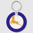 Search for springbok Africa
