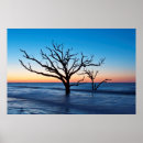 Recherche de côte atlantique posters Environnement