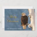 Search for eagle christmas cards Alaska