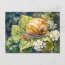 Recherche de escargots cartes postales Nature