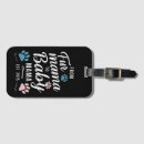 Recherche de chaton accessoires Chien