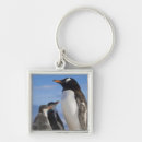 Search for antarctic penguin keychains Ocean