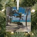 Search for hammock ornaments Palm tree
