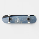 Search for dust skateboards Environment