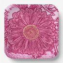 Search for fuchsia gerbera Magenta
