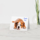 Search for bulldog thank you cards Dogs