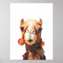 Recherche de dromadaire posters Animaux