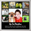 Search for veterinary posters Animal shelter