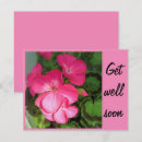 Search for geraniums cards Pink