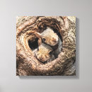 Search for squirrell canvas prints Woodland