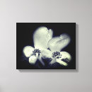 Search for black and white flowers canvas prints Floral