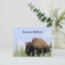 Search for maxwell postcards Kansas