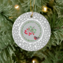 Search for red robin ornaments White
