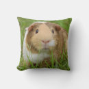 Search for guinea pig pillows Pets