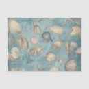 Search for seashell tissue paper Coral