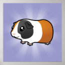 Recherche de cavy posters Animal