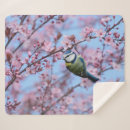 Search for japanese cherry blossom blankets Blossoms