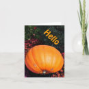 Search for pumpkins photography October