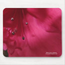Search for hibiscus photo electronics Blossom