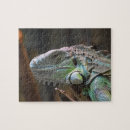 Search for exotic puzzles Iguana