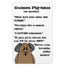 Search for guinea pig quotes Cavy