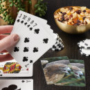 Recherche de queue jeux de cartes Animaux