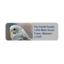 Search for parakeet return address labels Blue