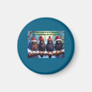 Recherche de rapace magnets Nature