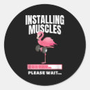 Search for installation stickers Fitness