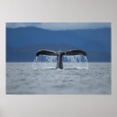 Recherche de queue baleines posters Nature